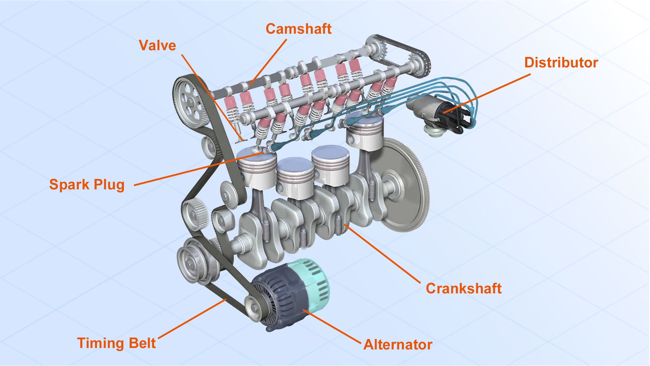 What is a Camshaft and What does it do?
